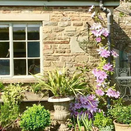 Lavender Cottage Gloucester Buitenkant foto