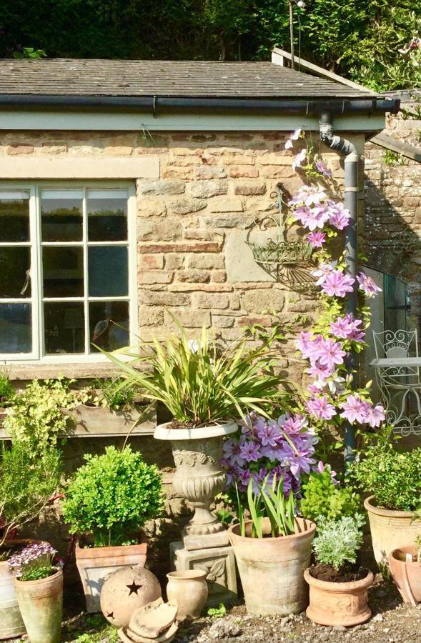 Lavender Chalet