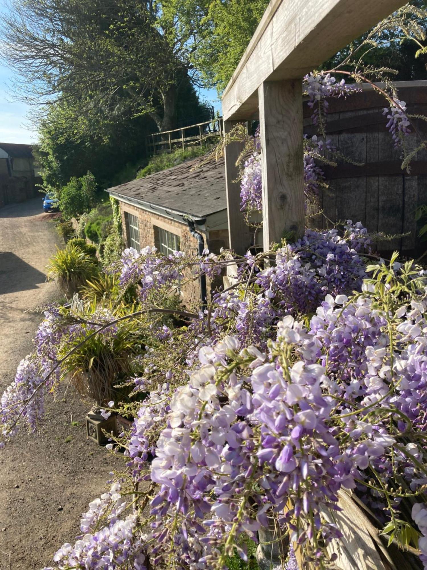 Lavender Chalé